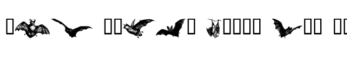 Preview of BatBats Regular