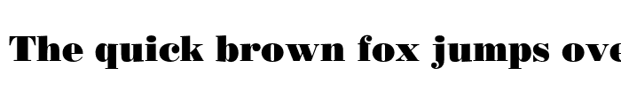 Preview of Bodoni Poster Regular