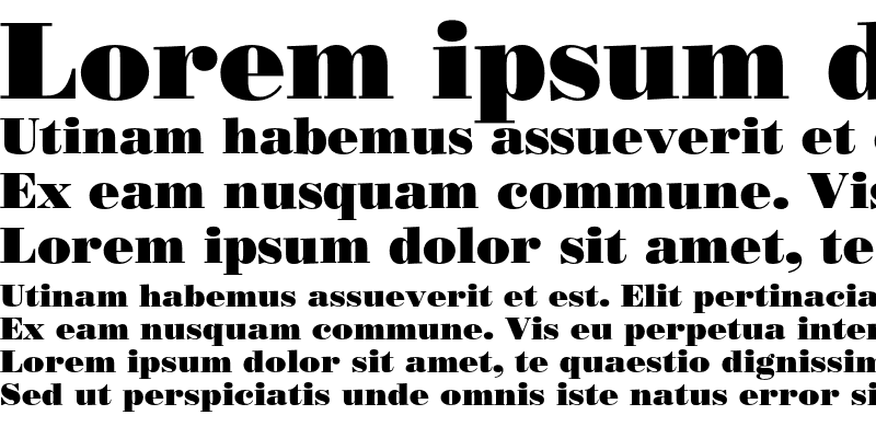 Sample of Bodoni Poster Sample of Bodoni Poster