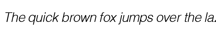 Preview of Hallmarke Light Italic