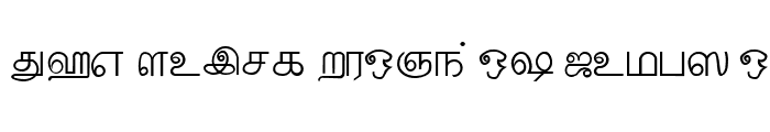 Preview of Palladam Medium