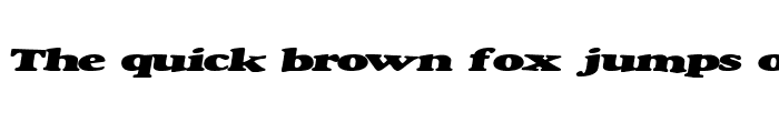 Preview of Paragon ttnorm Regular