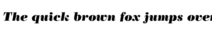 Preview of Poster Bodoni Italic