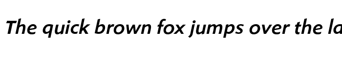Preview of ShinnMediumItalic Regular
