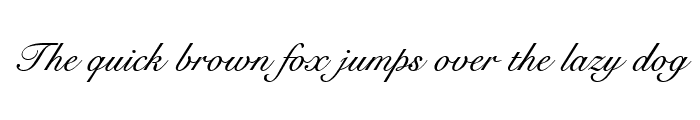 Preview of Signet Roundhand Italic