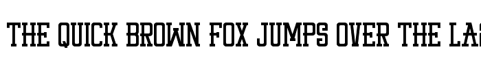Preview of STAY PUNX Regular