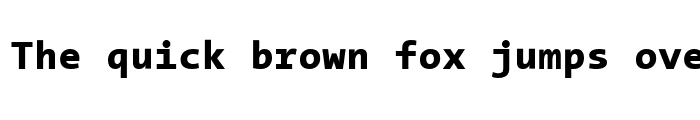 Preview of TheSans Mono ExtraBold