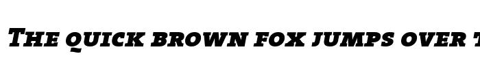Preview of TheSerif Black Italic