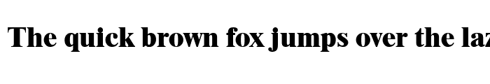 Preview of Times LT ExtraBold Regular