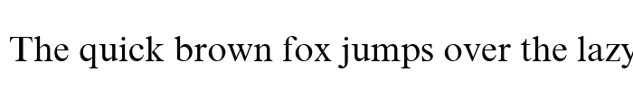Preview of Times New Roman Cyr Regular