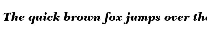 Preview of Tycoon Black SSi Black Italic