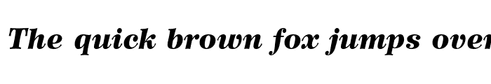 Preview of Wilke 96 Black Italic