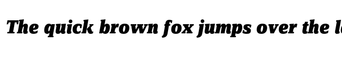 Preview of ZineSerifDis Black Italic